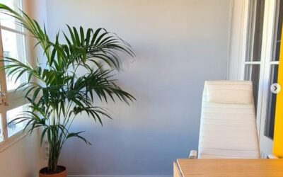 Cortina estor accionada con cadenita