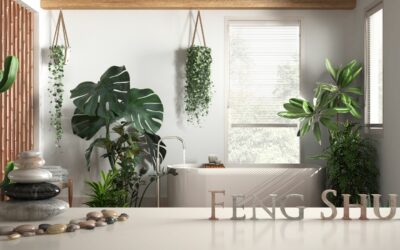 Mejorando la energía de tu hogar con persianas